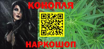 мяу мяу мука Камышлов