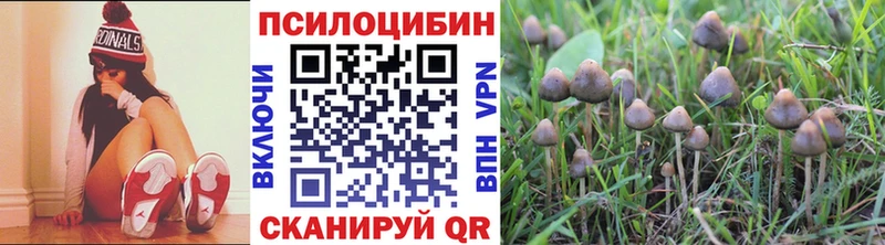МЕГА   Бирск  Галлюциногенные грибы мицелий  купить  сайты 