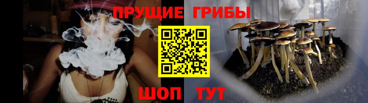 Галлюциногенные грибы Magic Shrooms Бирск